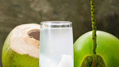 Coconut