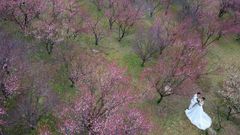 China is offering state-sponsored marriage counselling to couples before they tie the knot, but it is not clear whether it would be mandatory, or who would pay for it