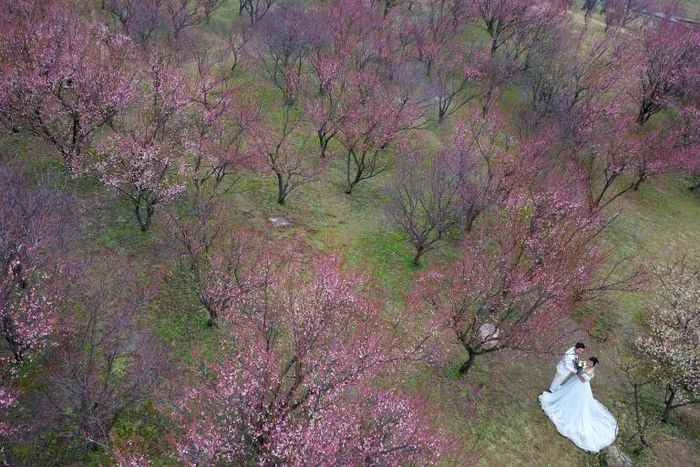 China is offering state-sponsored marriage counselling to couples before they tie the knot, but it is not clear whether it would be mandatory, or who would pay for it