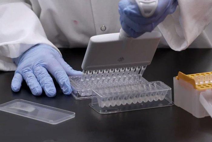 Coronavirus vaccine with 90% effectiveness sparks hope across the world