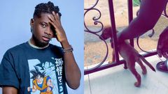 Kuami Eugene drops tribute song for his late dog
