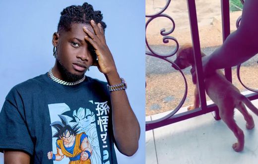 Kuami Eugene drops tribute song for his late dog