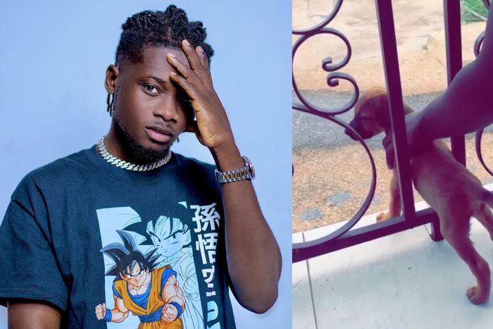 Kuami Eugene drops tribute song for his late dog