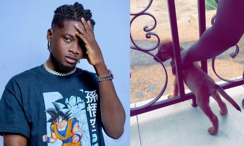 Kuami Eugene drops tribute song for his late dog