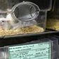 This picture shows mice in a box at the Neurosciences rechearch Center CERMEP in Bron, France in 2014