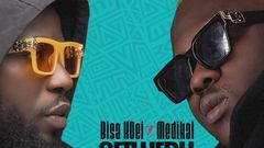 Bisa Kdei and Medikal on Netwerk