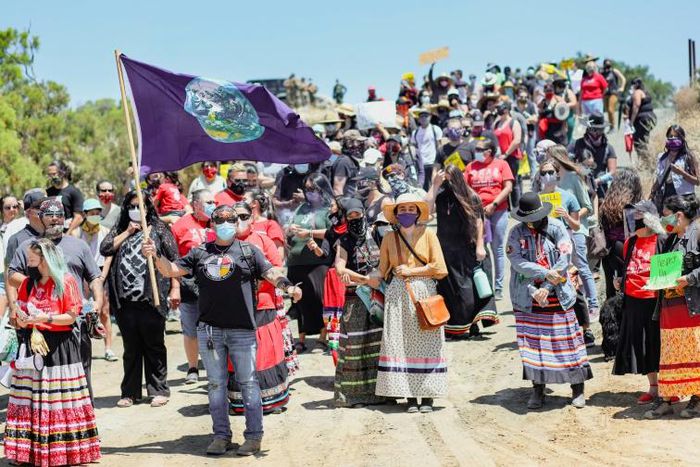 About 40 percent of victims were indigenous peoples, and over two-thirds died in Latin America, the report said