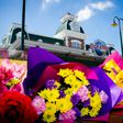 Floral tributes left at 
the Dreamworld theme park after the 2016 tragedy