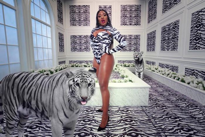 Megan Thee Stallion shows gunshot wound