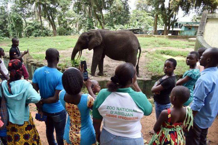 The zoo is struggling with rundown facilities and lack of funds