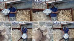 I’ll establish the Ayawaso West farms to feed the capital as soon I become MP – John Dumelo