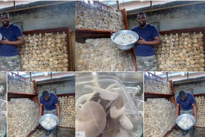 I’ll establish the Ayawaso West farms to feed the capital as soon I become MP – John Dumelo