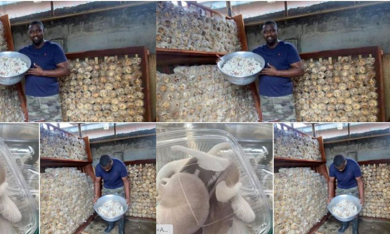 I’ll establish the Ayawaso West farms to feed the capital as soon I become MP – John Dumelo
