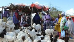 People buy sacrificial sheep and goats for the Muslim festival Eid