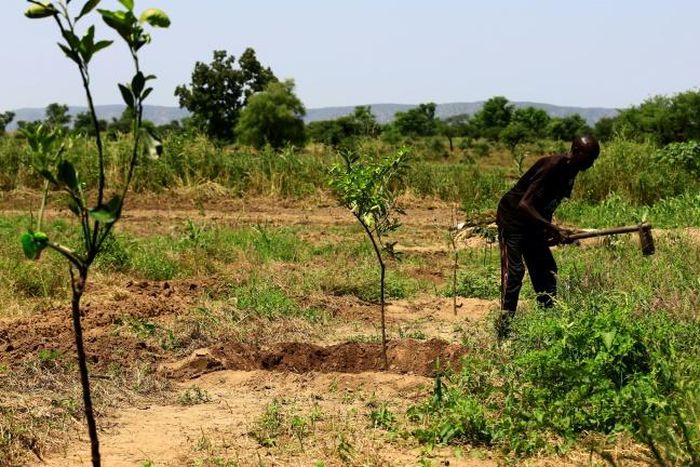 Land ownership was a main driver of the deadly conflict that broke out in Darfur in 2003