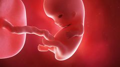 Ghana records 200,000 abortions in 2017 alone - Report