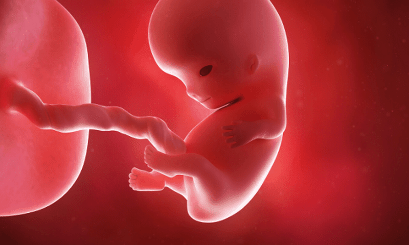 Ghana records 200,000 abortions in 2017 alone - Report