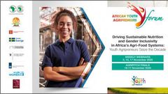 African Development Bank Group (AfDB)