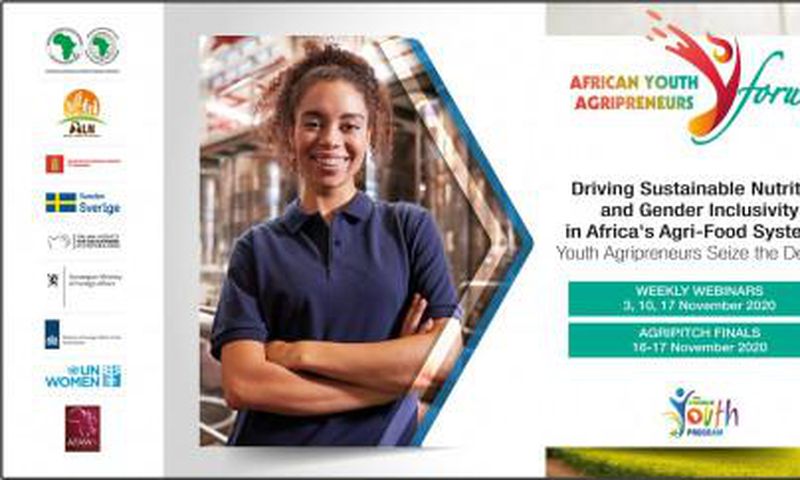 African Development Bank Group (AfDB)