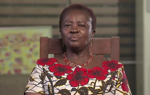 NDC running mate, Prof Jane Naana Opoku-Agyemang