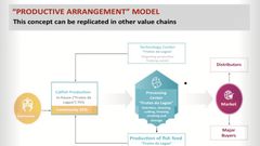 Productive Arrangement – An inclusive rural developmental model