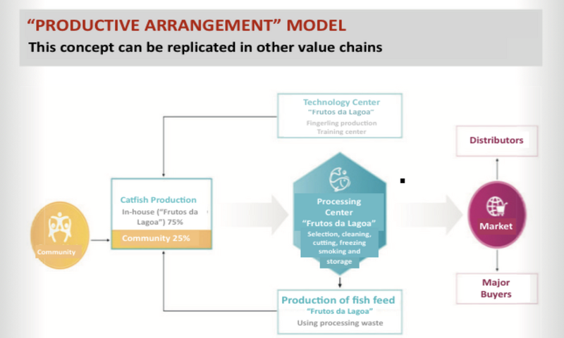 Productive Arrangement – An inclusive rural developmental model