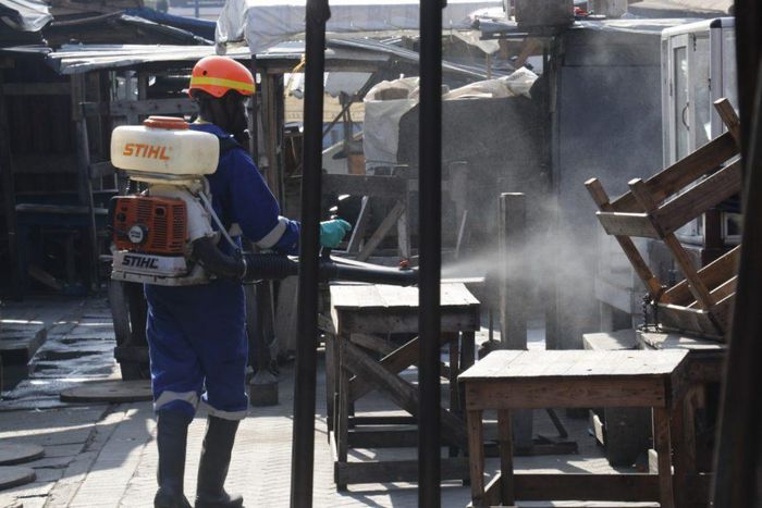 Fumigation at Opera  square