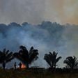 Fires in the Amazon are sparked by humans to clear land illegally, experts say
