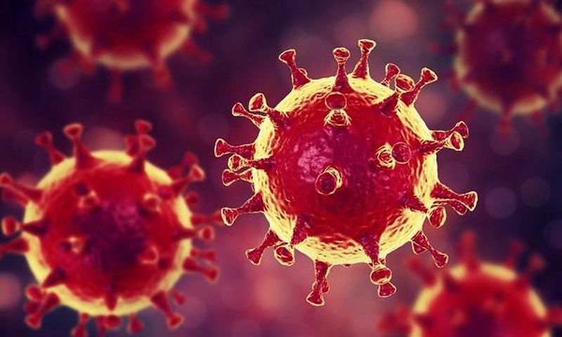 Coronavirus