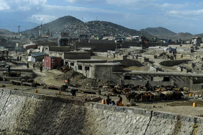 In recent months violence has soared in Afghanistan, with the Taliban carrying out near-daily attacks against security forces