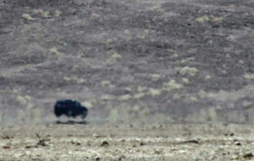 A new scorching temperature of  130 degrees Fahrenheit (54.4 degrees Celsius) recorded in California's Death Valley could be the highest ever recorded, US officials say