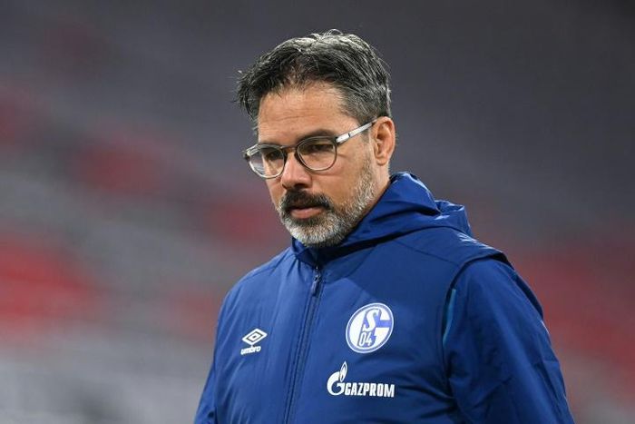 Schalke have fired David Wagner as head coach after 18 matches without a win