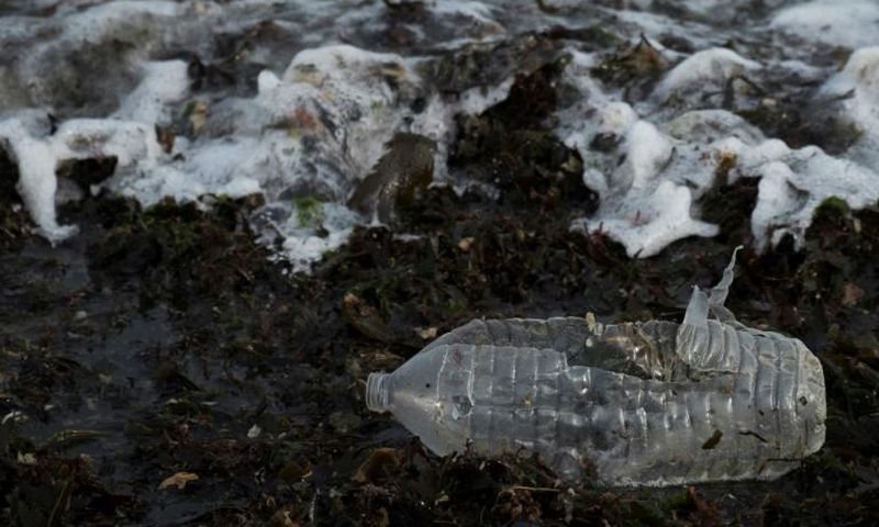 Earth's oceans contain an estimated 150 million tonnes of plastic, often in the form of microplastic particles