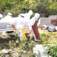 COVID-19 death
