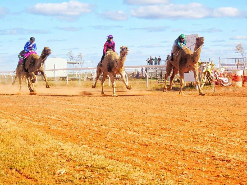 16 Strangest Festivals in The World That You Won’t Believe Exist