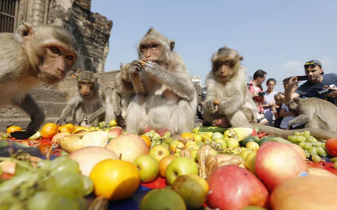 16 Strangest Festivals in The World That You Won’t Believe Exist