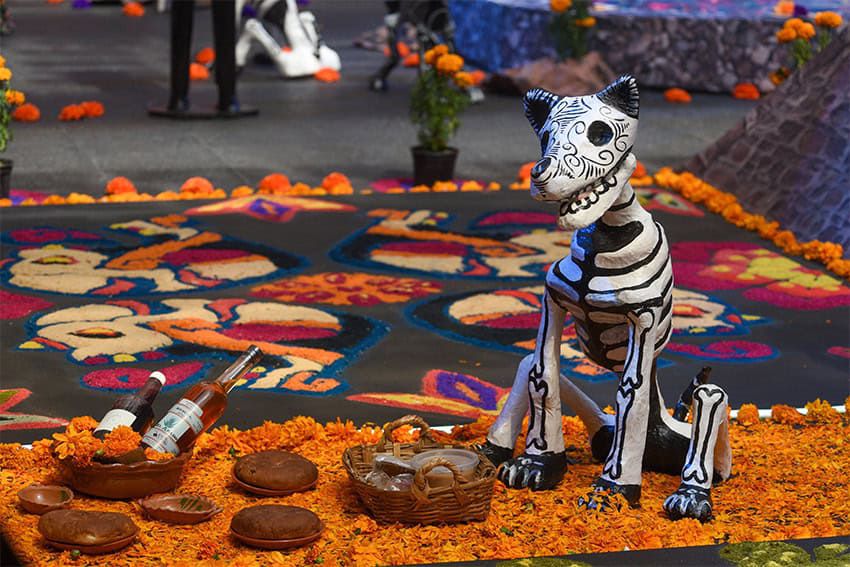 16 Strangest Festivals in The World That You Won’t Believe Exist