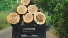 5 dead after violent clashes between illegal timber loggers in Sehwi Agyemadiem
