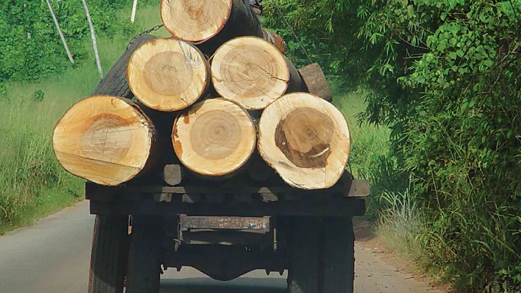 5 dead after violent clashes between illegal timber loggers in Sehwi Agyemadiem