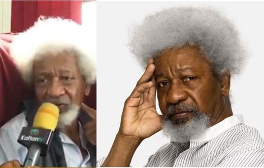 Forget the existence of  Buhari’s administration or you’ll go mad – Wole Soyinka advises