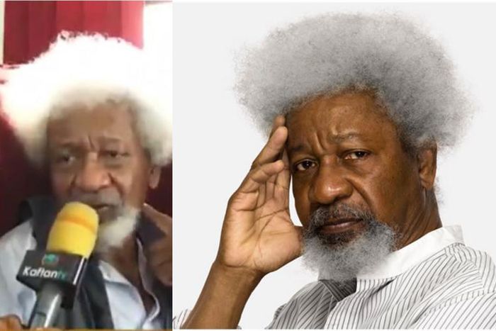 Forget the existence of  Buhari’s administration or you’ll go mad – Wole Soyinka advises