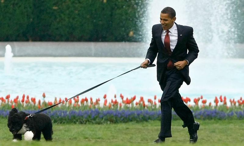 obama running dog
