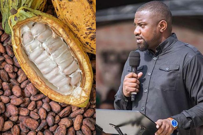 China will soon match Ghana’s cocoa production – John Dumelo