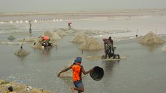 Revamp salt industries in coastal areas to elevate poverty