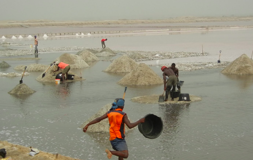 Revamp salt industries in coastal areas to elevate poverty