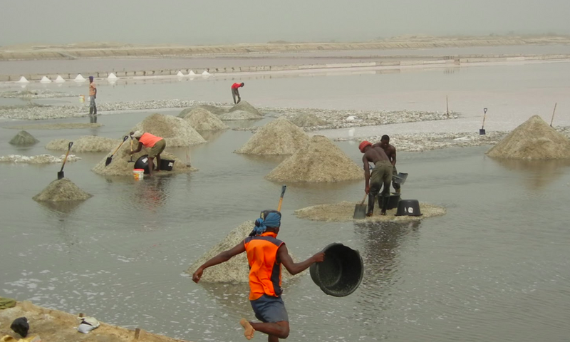 Revamp salt industries in coastal areas to elevate poverty