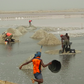 Revamp salt industries in coastal areas to elevate poverty