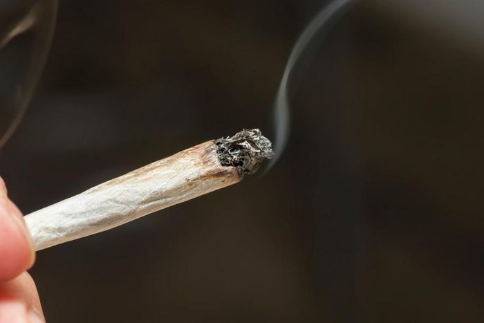 Drug abuse in schools must not be treated as a crime – Child Rights International