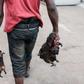 Bushmeat