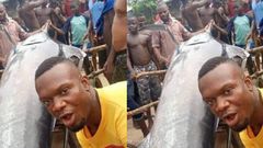 Man & village folks eat Blue Marlin Fish only to know it’s worth a life-changing $2.6 million